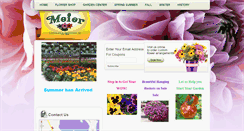 Desktop Screenshot of meierflowerland.com